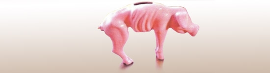 cerdito-hucha-flaco_39355.jpg