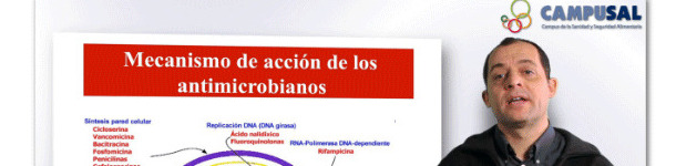Campusal
