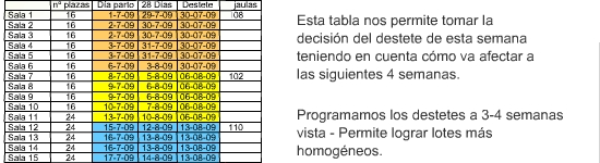 Al decidir qu&eacute; cerdas van a ser destetadas el d&iacute;a del destete se deben tener en cuenta varios factores