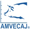 AMVECAJ 2021 - Congreso virtual