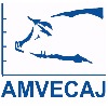 Amvecaj XXII