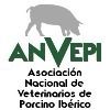 Foro Anvepi	