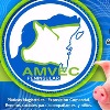 XIII CONGRESO AMVEC 