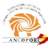 XXIII Congreso de ANCOPORC