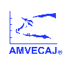XXXIII Congreso AMVECAJ