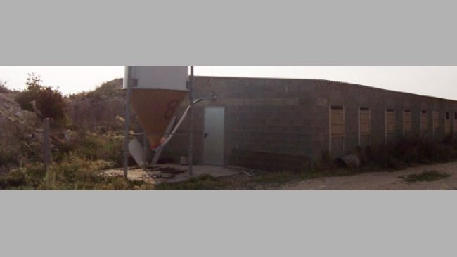 Silo en granja porcina