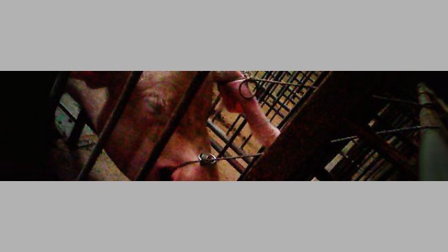 Doble sujección de las cerdas con lazo para sangrías