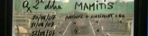 Anotaciones en las ventanas de las puertas