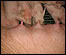 home_2348