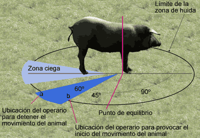 0811-1adalmau-vision-fig2