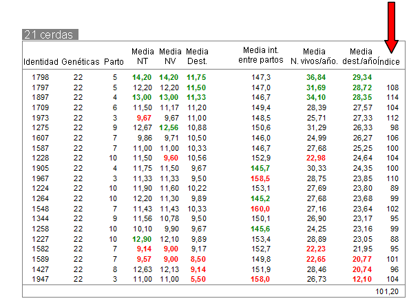 Ránking de resultados de cerdas