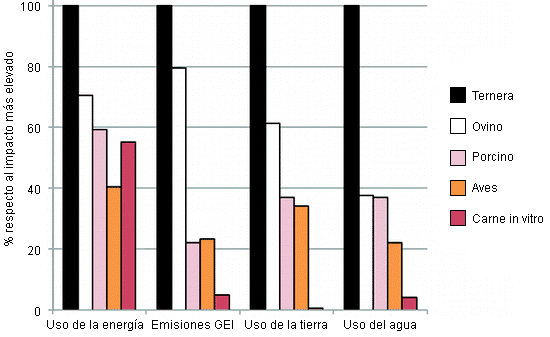 Impacto medioambiental de la producción de carne in vitro