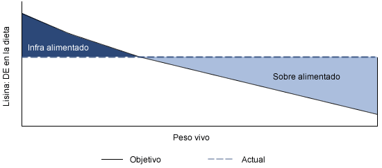 Objetivo de lisina en la dieta para la alimentación por fases versus un nivel fijo para una única dieta