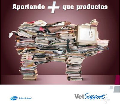 VetSupport