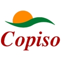 Copiso