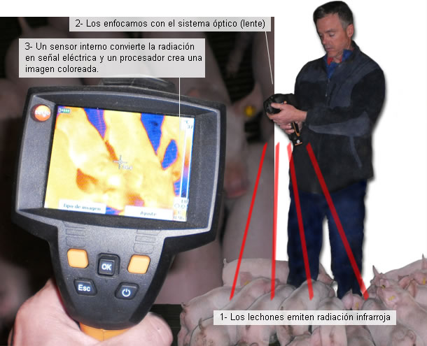 ¿Cómo funciona la cámara termográfica?