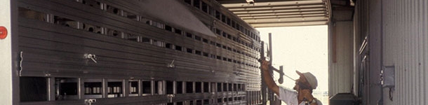 Diseño del transporte para asegurara una correcta limpieza y desinfección.