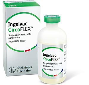 Ingelvac CircoFLEX (100 ml)