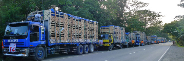 Parada para revisión de los animales y reaprovisionar los camiones a medio camino de Tagkawayan, Quezon.