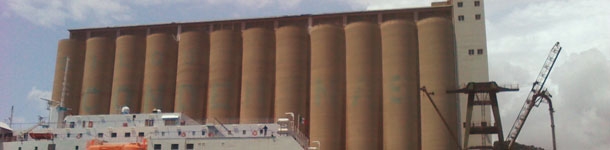 Origen de las materias primas consumidas en España