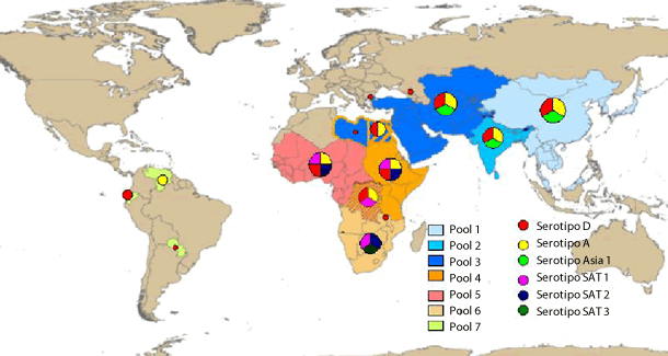 Distribución mundial de los serotipos del virus de la FA