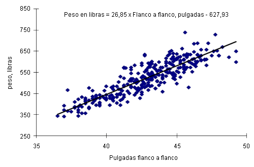 Relación entre la medida flanco a flanco y el peso corporal de la cerda 