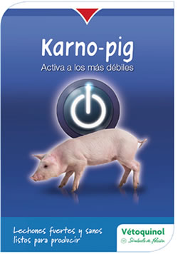 Karno-pig que estimula el metabolismo y proporciona las vitaminas y minerales para el óptimo desarrollo del lechón