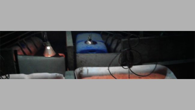 Sala I+D