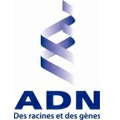 ADN