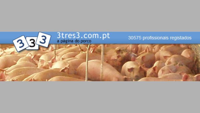 3tres3.com.pt