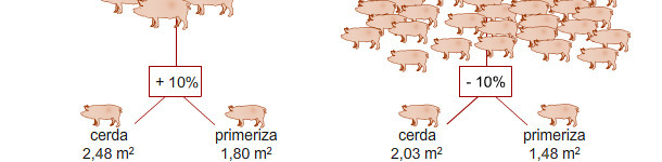 Sección de bienestar porcino