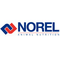 Norel