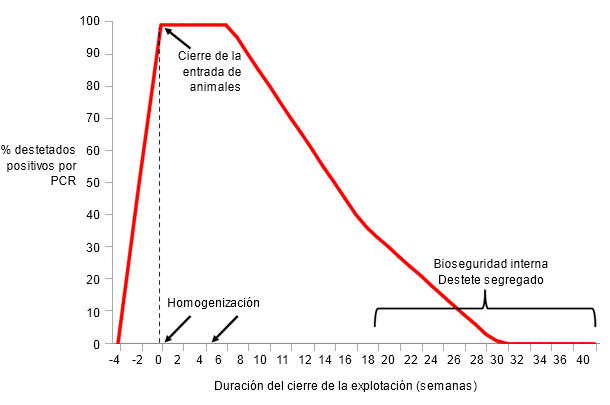 Example of procedures and wean-pig PRRSV detection during herd closure