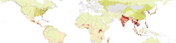 Crecimiento de la demanda de cerdo entre 2000 y 2030