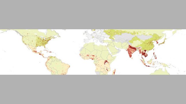 Crecimiento de la demanda de cerdo entre 2000 y 2030