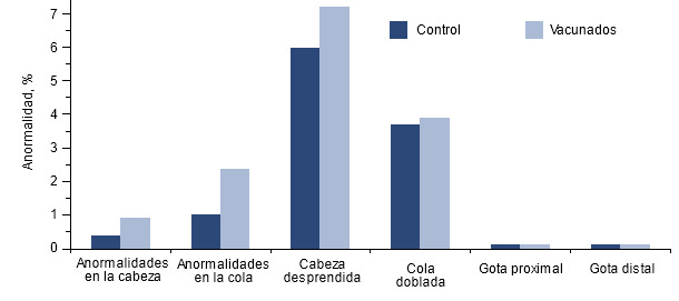 Efecto de la vacunación de machos positivos a PCV2 sobre la motilidad espermática