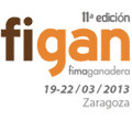 FIGAN 2013