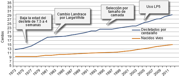 Desarrollo del nivel productivo de las granjas danesas en los últimos 40 años