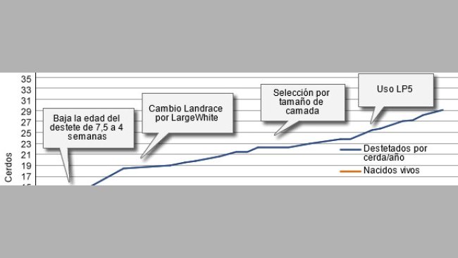 Desarrollo del nivel productivo de las granjas danesas en los últimos 40 años