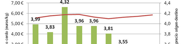 Evolución de los precios del cerdo en origen y destino durante los años 2005-2013