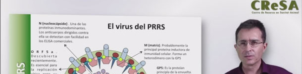 Curso: Bases técnicas para el control práctico del PRRS (12 horas), por el Dr. Enric Mateu