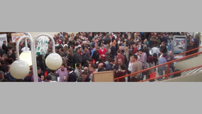 VIII Congreso de la AVPA