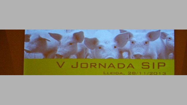 V Jornada SIP