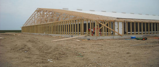Construcción del armazón para la instalación de los bancos de filtros en una granja de madres en Norte América.