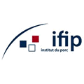 Logo IFIP 1