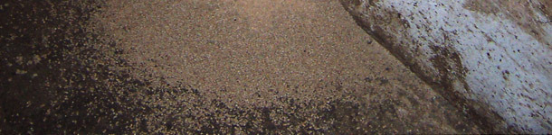 Desperdicio del pienso