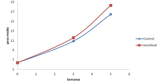 Sin-título-3.gif