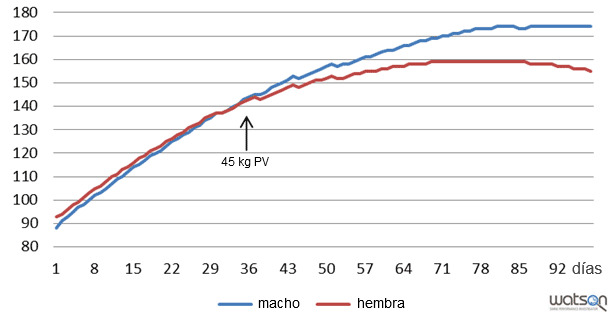 Deposición proteica (g/día) de machos enteros y hembras de la línea genética A