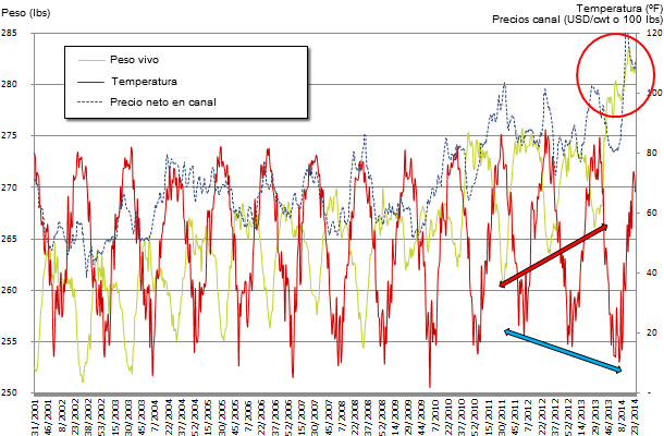 Peso vivo medio a matadero en EEUU vs. temperatura media semanal en Des Moines, Iowa y precio recibido por el productor. Fuentes: USDA, AMS market news service y la universidad de Dayton