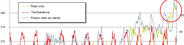 Peso vivo medio a matadero en EEUU vs. temperatura media semanal en Des Moines, Iowa y precio recibido por el productor. Fuentes: USDA, AMS market news service y la universidad de Dayton
